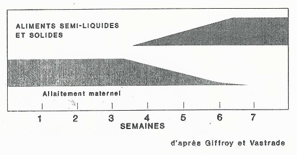 Comportement alimentaire du chiot